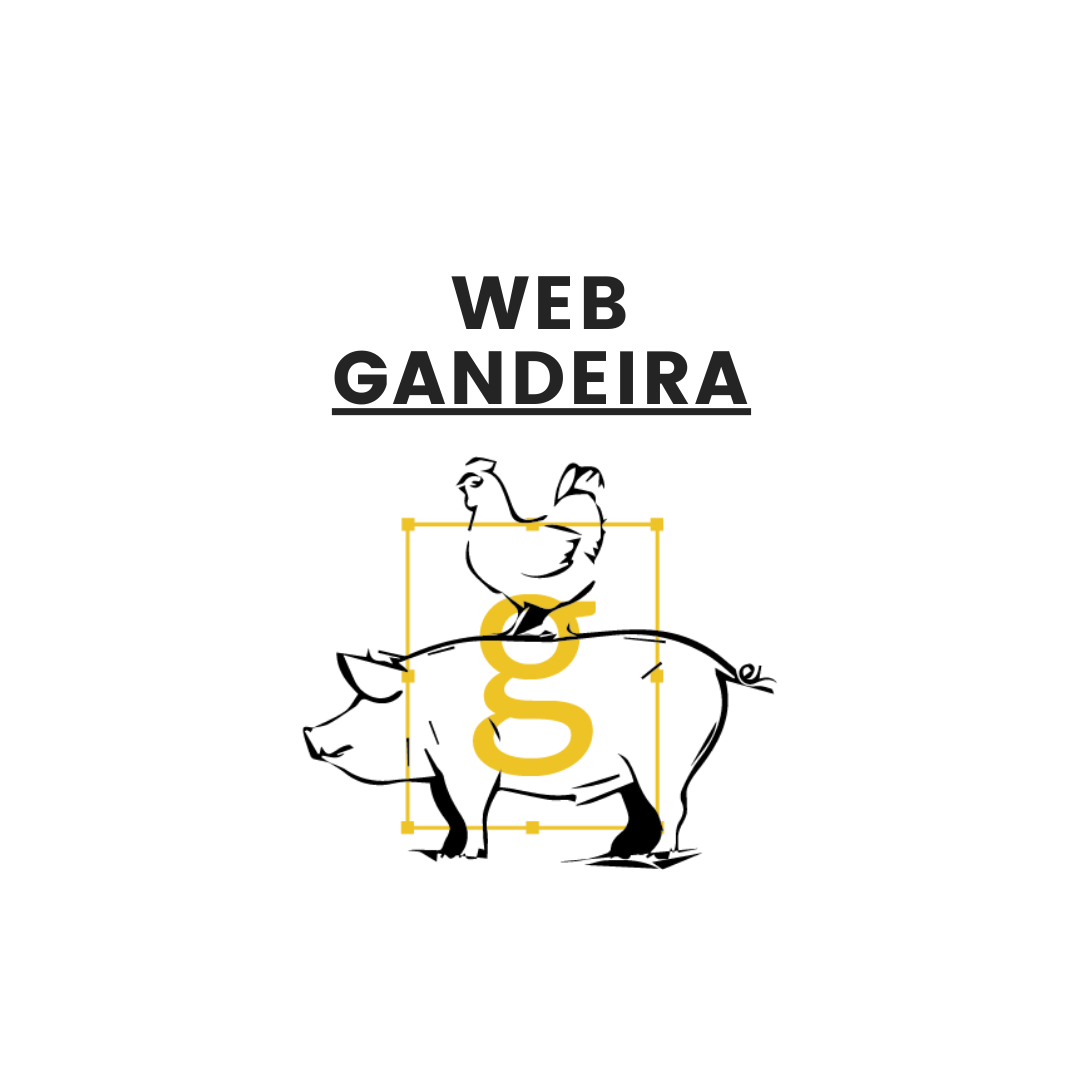 WEB GANDEIRA